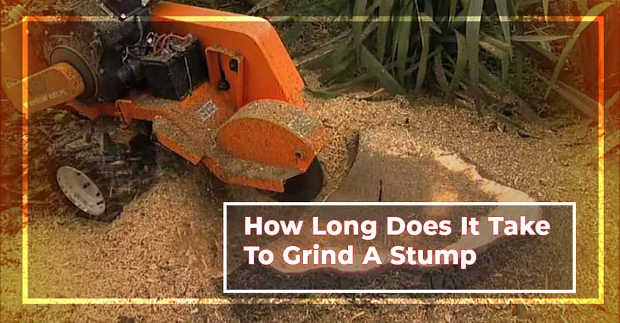How-Long-Does-It-Take-To-Grind-A-Stump