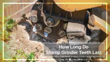 How Long Do Stump Grinder Teeth Last