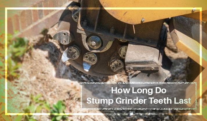 How Long Do Stump Grinder Teeth Last