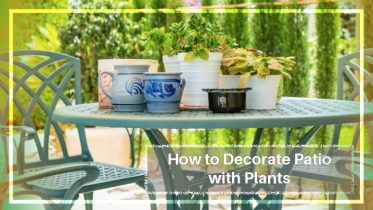 How to Decorate Patio with Plants